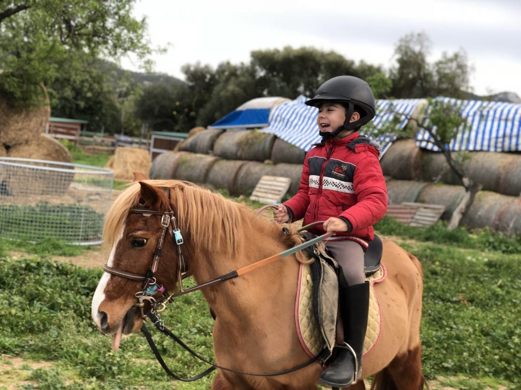Beneficios de los Caballos para la Salud Humana  EMOTICANIMAL